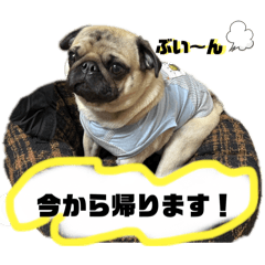 saku_20241207101952