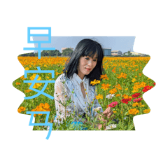 R茵茵