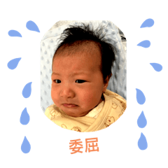 Q寶呀
