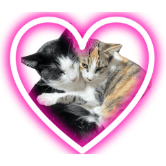 Julie&Pinkie