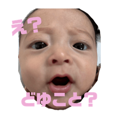 coco_20241207160736