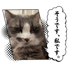 KK_20241207122903