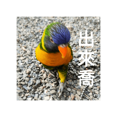 名字沒想好