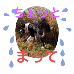 yuto_20241207145747