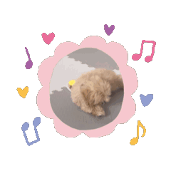 mimi_20241208014807