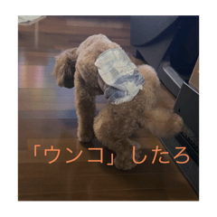YUNA_20241207133105