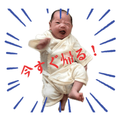 mai t_20241207212712