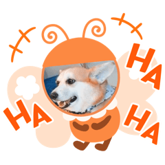 QQ_20241207222455