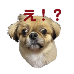 mai.k_20241207231747