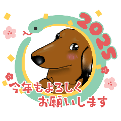 chisa_20241207200855
