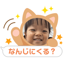 mo_20241207155455