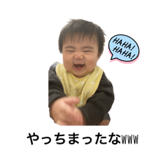 shin_20241207160343