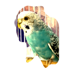 hikaru_20241208093021