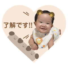 hikari_20241208093704