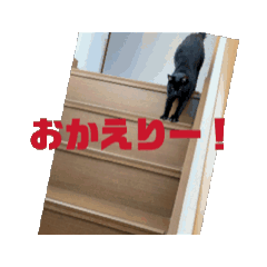 nico_20241208110328