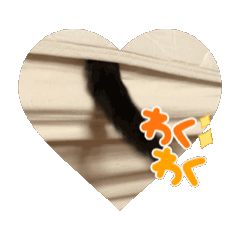 黒い猫、うごき