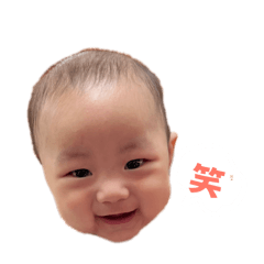小檸檬誕生