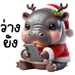 Hippo Santa