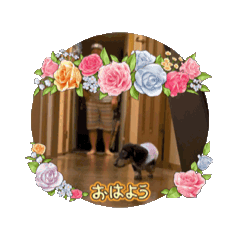 y_20241208.MAX