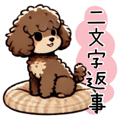 Healing Brown Toy Poodle (Two-Word)