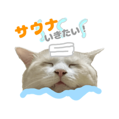 HUNGRY HUNGRY_20241206153712