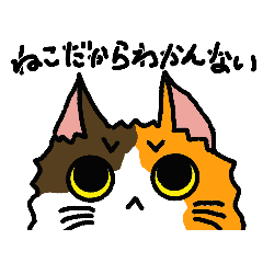 三毛猫な日々