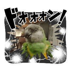 錢錢好帥！