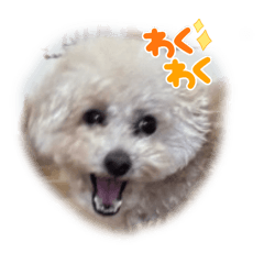 MAI_20241208030540