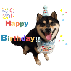 mai_20241207021510