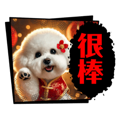 Bichon Frize Daily 3