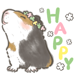 Cute guinea pig Chai stickers