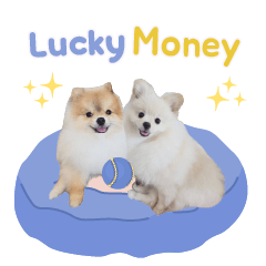 Lucky & Money V.1