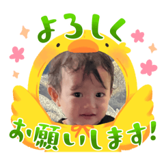 vivi_20241208114403