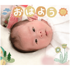 suzukaaoki