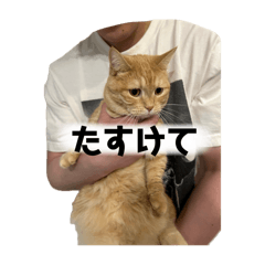 mizu_20241208155137