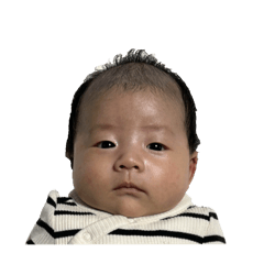 saku_20241208123129