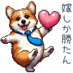 husband corgi dog