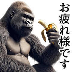 [all year round] Handsome gorilla