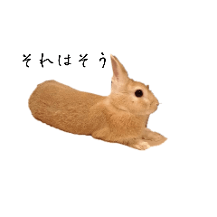 Rabbit_Lemon