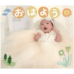 SAKU_20241208175213