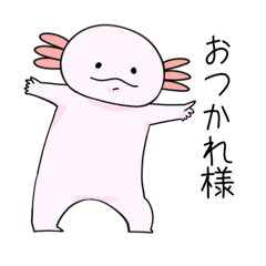 kinako_20241208001757