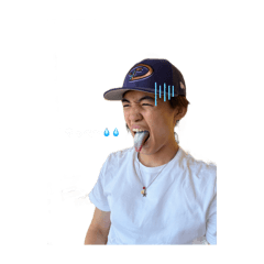Nico_20241208024457