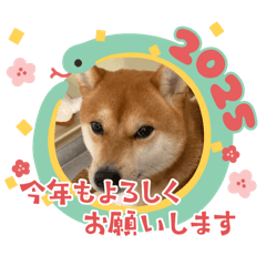 sorasakura_20241208102335