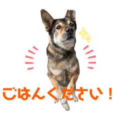 gon_20241208162142