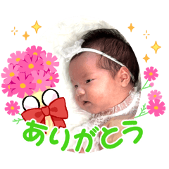 nozomi_20241208162001