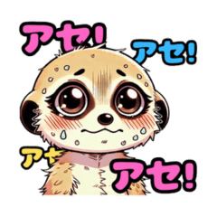 Meerkat's Daily Chat Stickers