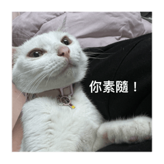 糰語錄 第二彈