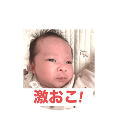 SAKU_20241208192047