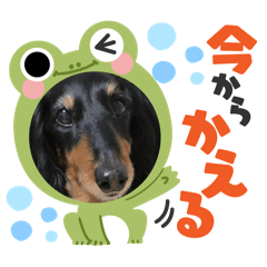 rutaro_20241208180255