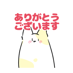 pochi_20241208181336